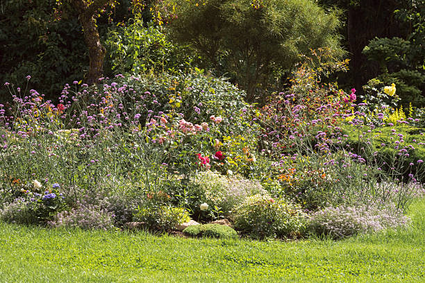 istock Ornamental garden with flowers and plants 2226808892