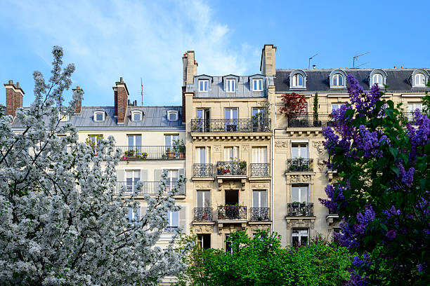 istock Spring in Paris : lilac and white cherry tree with tenement typical facade in background 2226810330