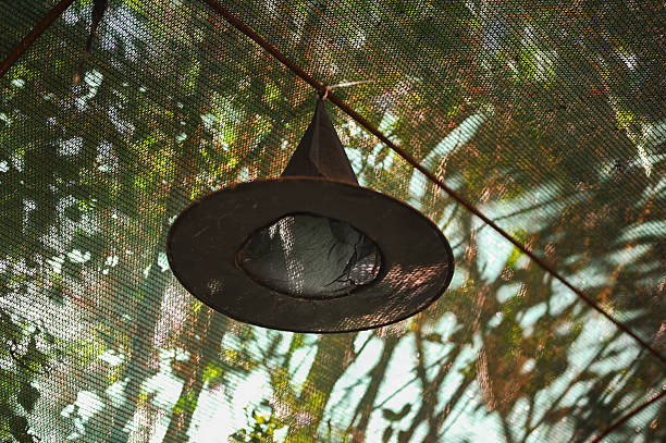 Witch hat hanging from a gazebo roof in a garden