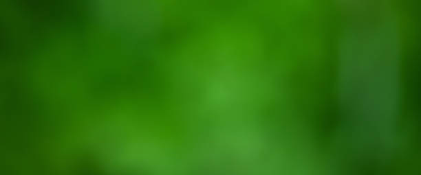 istock green blurred nature as a background to insert text 2226814147