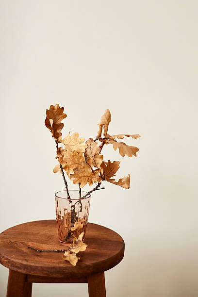 istock Dried oak branches elegantly arranged in a glass on a wooden stool in a minimalist interior setting 2226815110