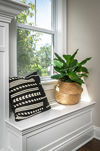 istock Bright Window Nook with Decorative Pillow and Fiddle Leaf Fig in Woven Basket 2226817891