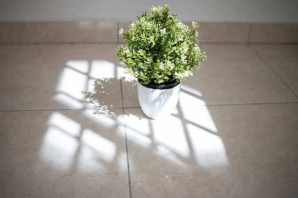 The morning sun shines warmly into the room through the window, making the small decorative vase in the house look beautiful.