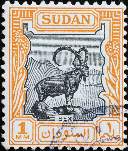istock Ibex on ancient stamp of Sudan 2226818312