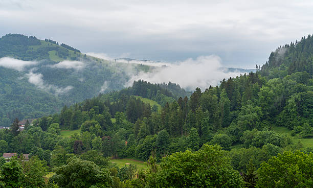 istock Around Schoenau in the Black Forest 2226820816