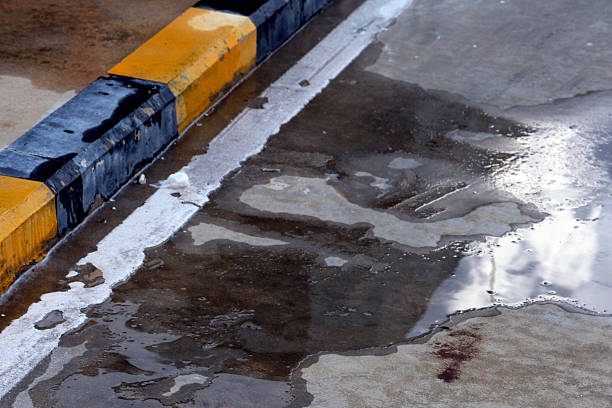 reflect on water and wet floor