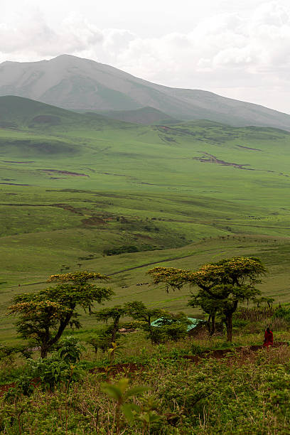 A wide expanse of green slopes unfolds beneath a moody sky, capturing the peaceful and untouched beauty of the African wilderness. The gentle terrain and soft natural light emphasize the harmony between earth and sky in this serene outdoor scene.