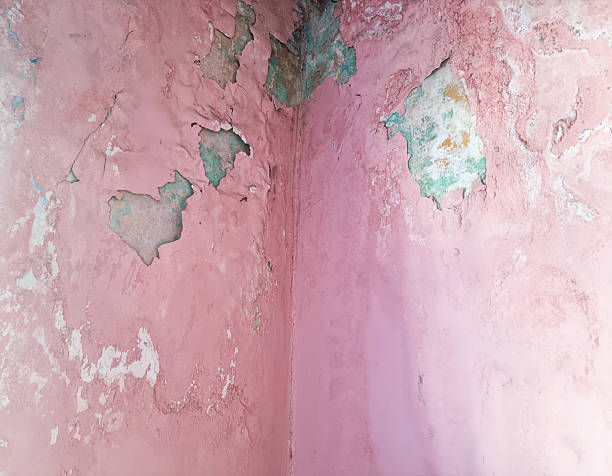 Damp buildings damaged by  mold and fungus