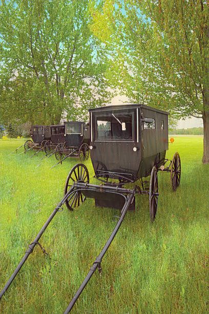 istock Old Amish Buggy-Northern Indiana 2226827905