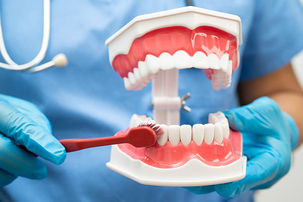 istock Doctor clean teeth denture with toothbrush for teach patient and dentist studying about dentistry. 2226828143