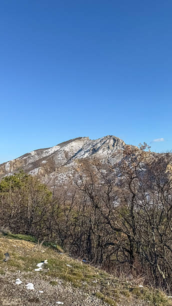 istock Mountain covered in snow and trees 2226831040