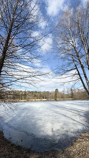 istock Lake with a few trees in the background 2226831056