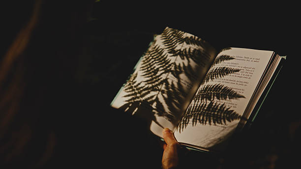 Historical and vintage objects creative advertisement concept. Studio shot of old retro hardcover book on dark background in warm light. Old vintage book laying opened with wind turning page.