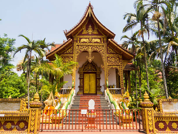 istock Manting Park, Xishuangbanna, China 2226836717