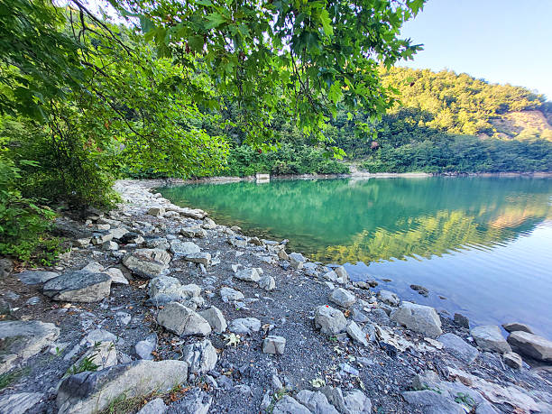 istock Lake at the edge of the forest 2226837004