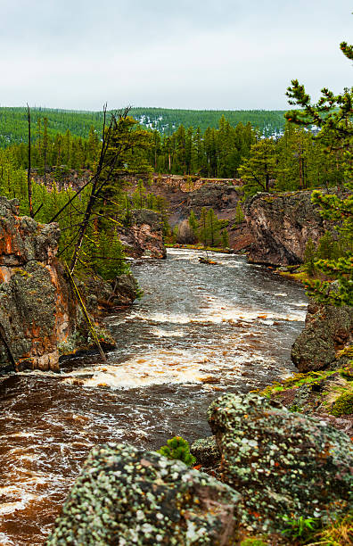 istock Yellowstone National Park 2226837848