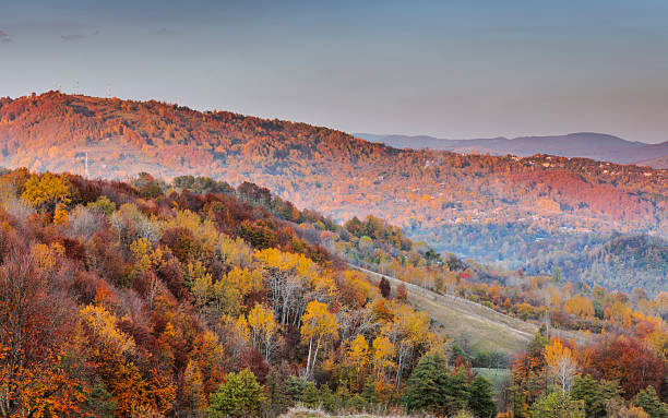 istock Serene Autumn Hillside with Vibrant Trees and Distant Mountain Views 2226838437