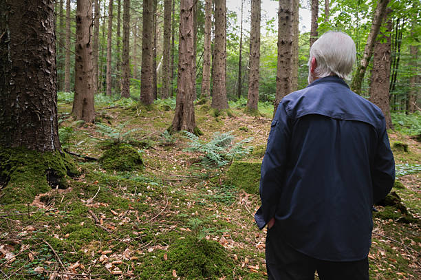Retired man standing in an area of woodland in rural Scotland on a summer day