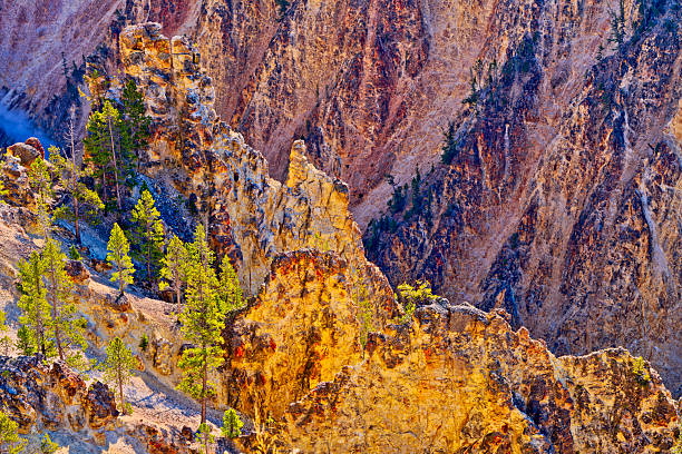 Yellowstone Falls and the grand canyon of the Yellowstone in Yellowstone National Park