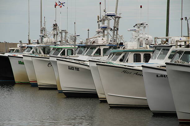 A fishing harbour nestled along Nova Scotia’s Northumberland Strait, with rows of docked fishing boats.