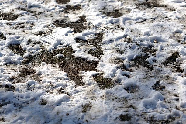 istock Snow-Covered Ground with Grass and Footprints on a Sunny Day 2226847427