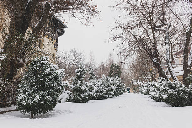 Winter Landscape in Harbin,China