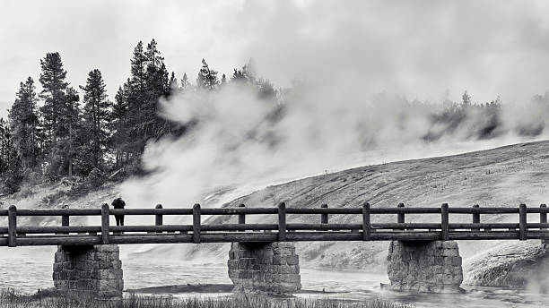 Yellowstone National Park in the state of Wyoming on October 11, 2024:   Woman stopping to take a photograph from a foot bridge across the Firehole River at dawn in Yellowstone National Park