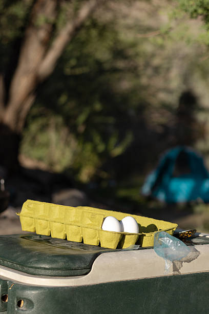 Two eggs resting on cooler in campsite setting