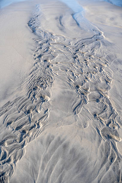 Intricate Sand Patterns on Beach: Abstract Textures & Water Erosion Formations - Nature's Artistic Design