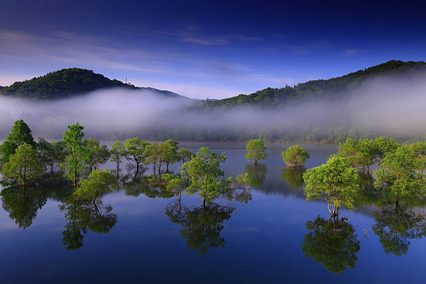 Early morning lake