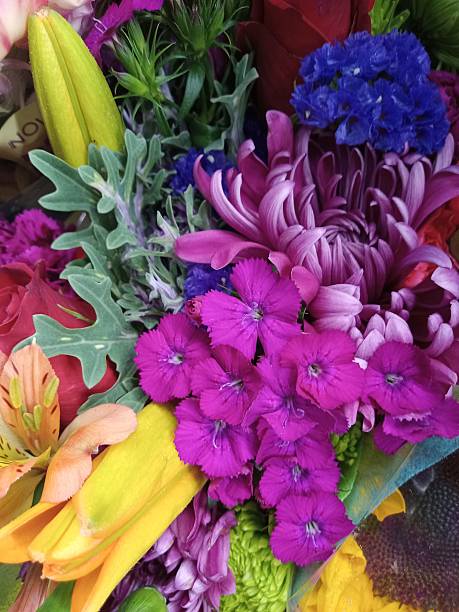 Summer flowers