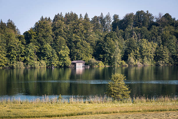 small lake called Haarsee with jetty in the middle of forest
