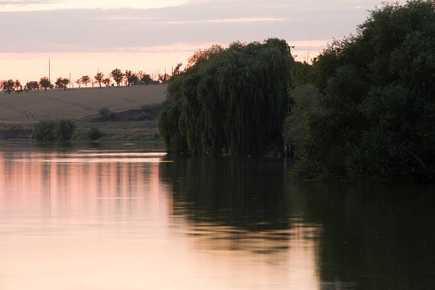istock A body of water with trees around it 2226864896