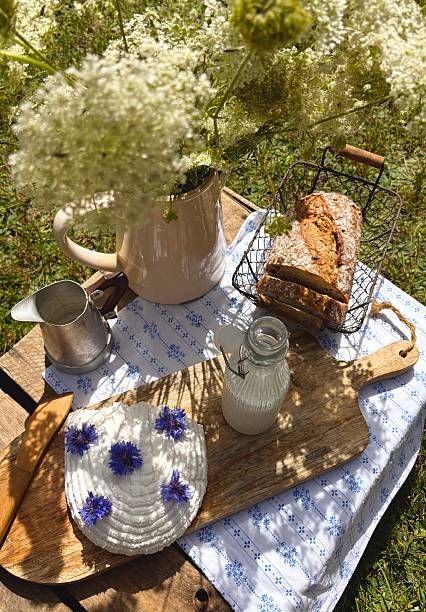 istock White cheese garnished with flowers. Breakfast on the grass. 2226865038