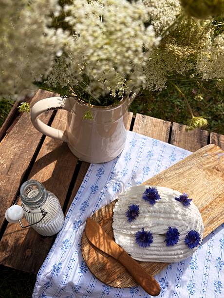 istock White cheese garnished with flowers. Breakfast on the grass. 2226865071