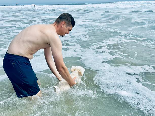 istock Ocean Relaxation With Puppy 2226869485