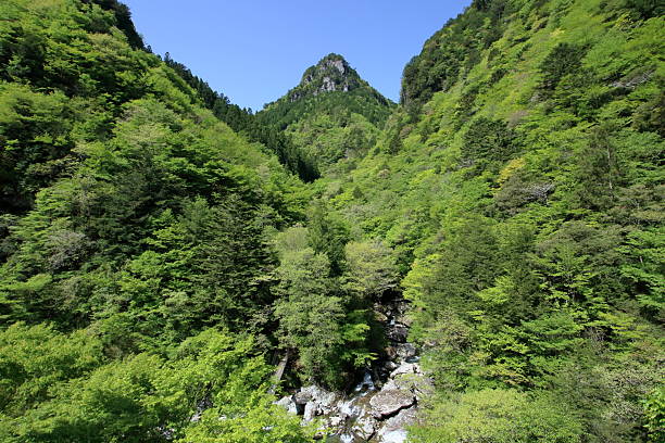 istock View the fresh greenery of the Setogawa Valley from the observation deck (Tosa Town, Kochi Prefecture) 2226870498
