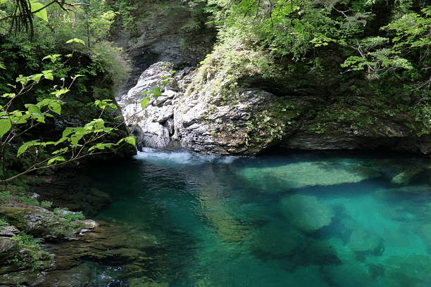 istock Hassho buchi in the Setogawa Valley, Early summer (Tosa Town, Kochi Prefecture) 2226870579