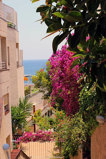 istock Beautiful sea view between houses 2226871103