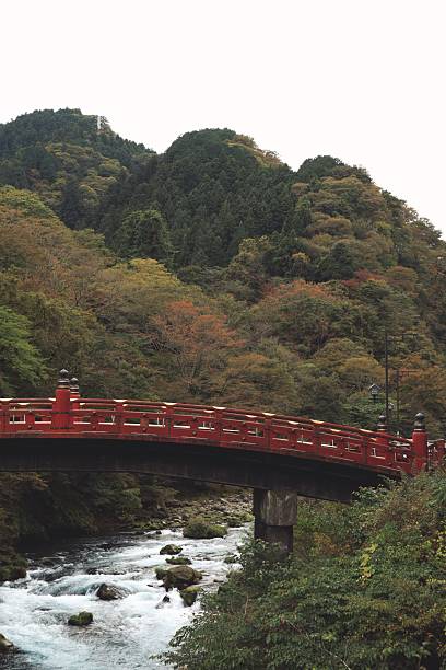 istock Japanese bridge in autumn 2226874734