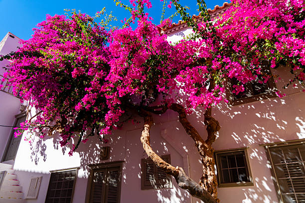 typical architecture on greek island mykonos
