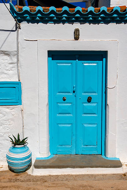 istock Colorful door with potted plant 2226877012