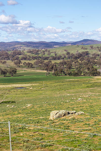 istock A sunlit rural landscape in Australia features rolling hills, scattered trees, and distant paddocks under a cloudy sky 2226877430