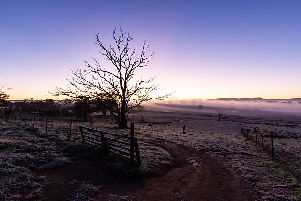 As the sun rises, a brilliant display of colour fills the sky above a misty valley, where a dead tree stands alone in the field.