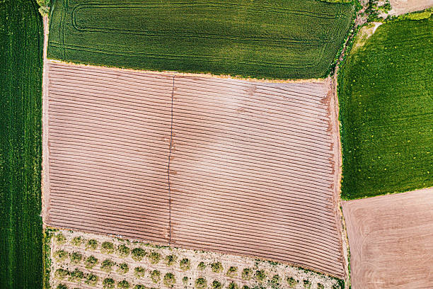 istock Aerial view of a plowed field bordered by other fields and an orchard, creating a geometric landscape 2226877707