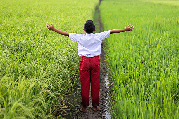 istock Young Boy Feeling Freedom In Rice Field 2226878612