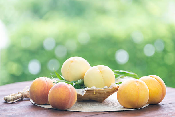 Fresh three kinds of peaches on blurred greenery background, Three colored peaches in basket on wooden table in garden.