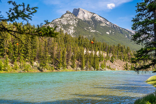 Majestic turquoise river flowing through lush forests in Banff National Park, Canada on a bright sunny day
