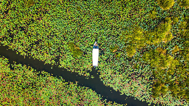 istock Tropical River and Lush Jungle Landscape from Above 2226894312