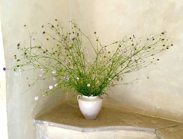 Decoration on a hallway ledge